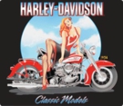 Harley Davidson - Classic Model