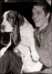 Elvis - Hound Dog Magnet