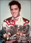 Elvis - Teddy Bear Magnet