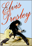 Elvis - Guitar On Stage Magnet