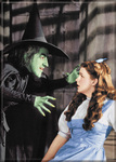 Wizard of Oz - Dorothy & Witch Magnet