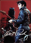 Elvis - 68' Comeback Magnet