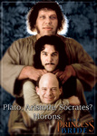 Princess Bride - Morons Magnet