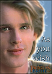 Princess Bride - As You Wish Magnet