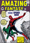 Spiderman - Issue Magnet