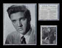 Elvis - The Movies