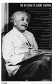 Albert Einstein - Quotes 11x17