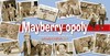 Mayberry-opoly