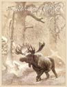 PETERS - Moose in Snowstorm