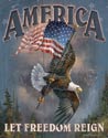 America - Let Freedom Reign