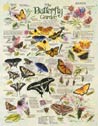 R. Lee - Butterfly Garden