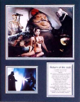 Star Wars - Return of the Jedi Matted Photo