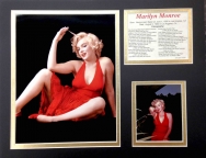 Marilyn Monroe - Red Dress Matted Photos