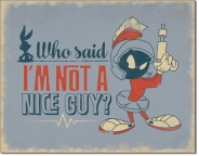 Marvin th Martian - Nice Guy