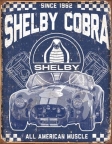 Shelby - America Muscle