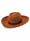 Toy Story- Woody Hat