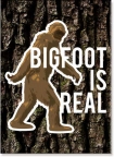 Bigfoot is Real Magnet