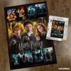 Harry Potter Movie Posters 1000 Piece Puzzle