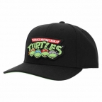 TMNT Logo Hat