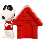 Peanuts- Snoopy Cool Joe Salt & Pepper Shakers