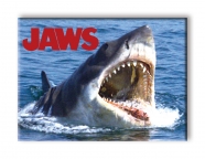 Jaws in Water Magnet
