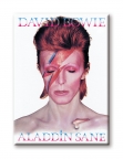 David Bowie- Aladdin Sane Magnet