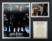 Harry Potter Goblet of Fire - 11x14 Matted Photos