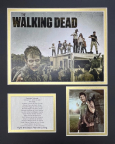 Walking Dead 11x14 Matted Pictures