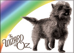 Wizard of Oz - Toto & Rainbow Magnet