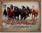 Welcome Friends - Horses