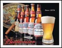 BUD - History of Bud