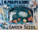 Phillips Seeds & Vegetables