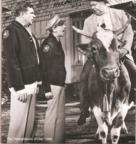Barney Fife & Otis (Cow) - Andy Griffith 8x10