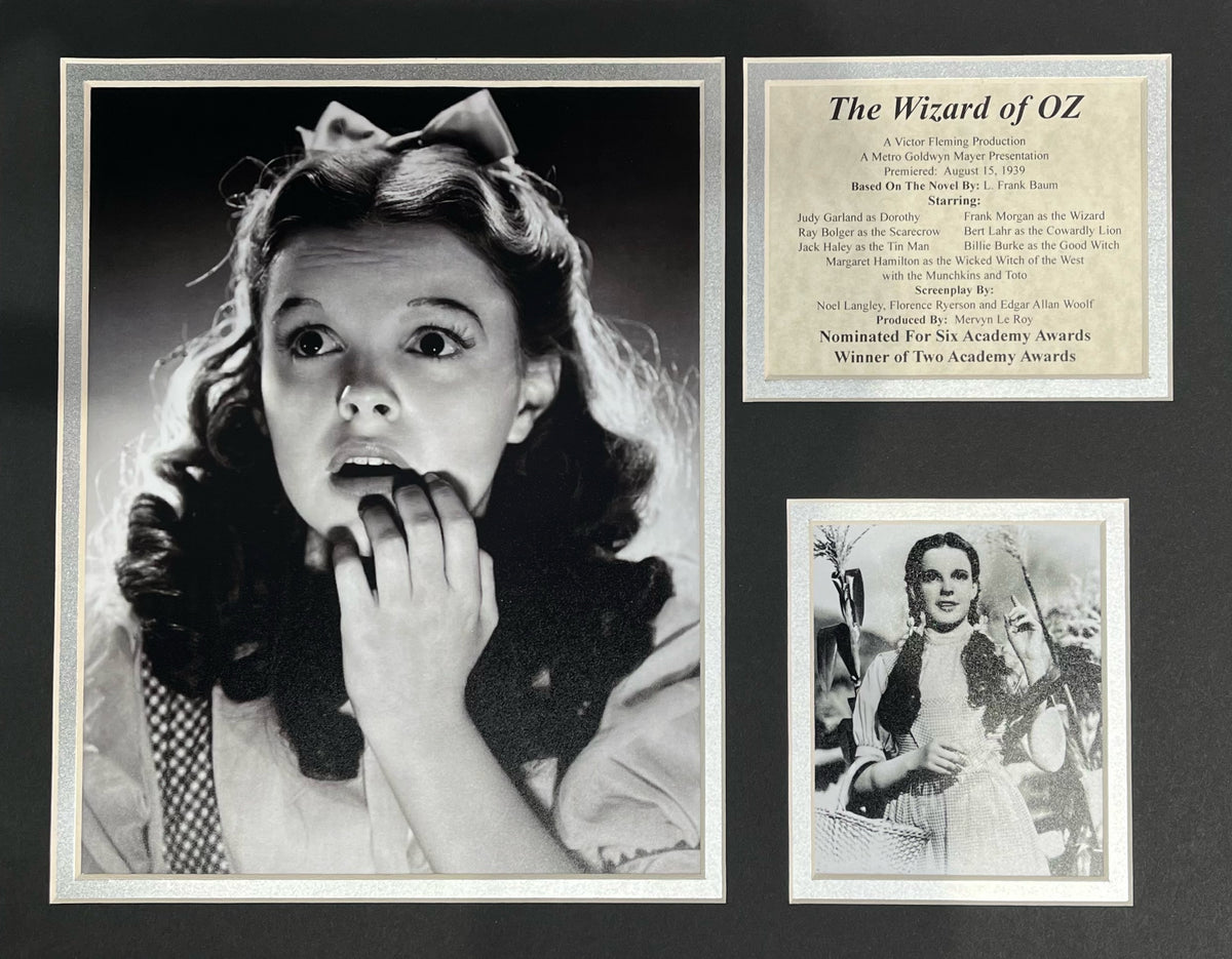 Wizard of Oz - Dorothy Matted Photos