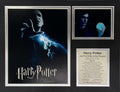 Harry Potter and the Order of the Phoenix - 11x14 Matted Photos