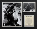 Godzilla - 11x14 Matted Photos