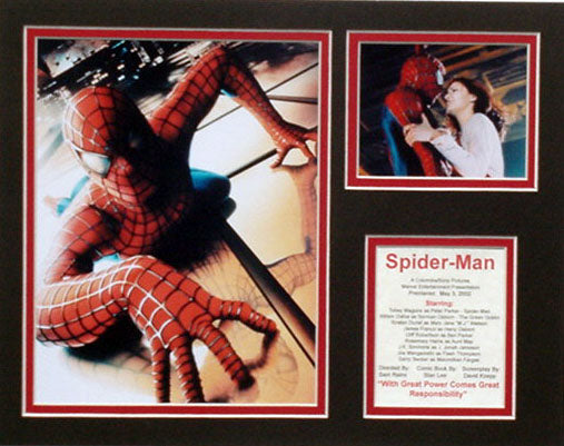 Spider-Man - Matted Photo