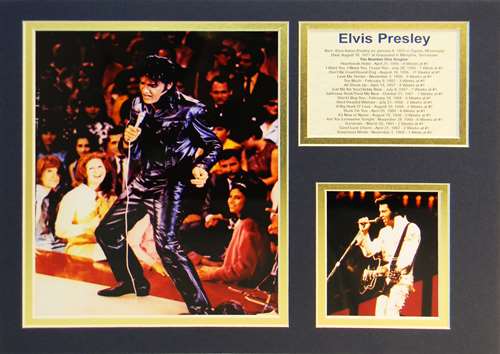 Elvis - In Concert Matted Photos