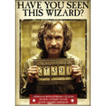 Harry Potter -  Have you seen Magnet