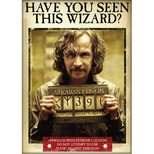 Harry Potter -  Have you seen Magnet