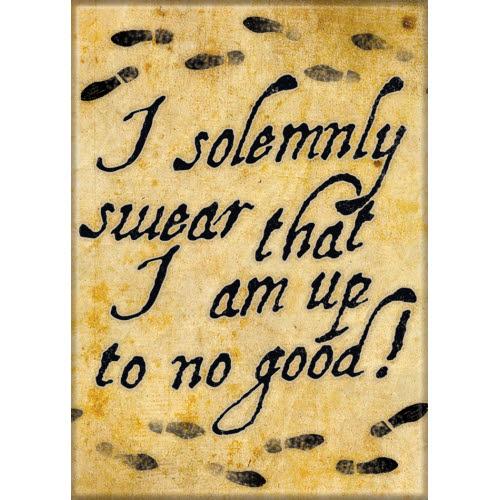 Harry Potter - Solemnly Swear Magnet