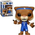 University of Kentucky- Wildcat Pop!