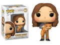 Harry Potter & the Prisoner of Azkaban 20th Anniversary- Hermione w/ Crookshanks Pop!