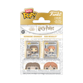 Harry Potter- Hermione & Ron Bitty Pop! 2-Pack