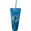 Harry Potter- Ravenclaw Diamond Cup w/ Straw