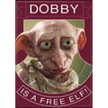 Harry Potter - Goblet Cover Magnet