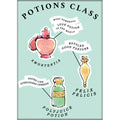 Harry Potter - Deathly Hallows Book Cover Magnet