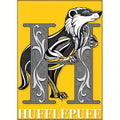 Harry Potter - Stained Glass Gryffindor Crest Magnet