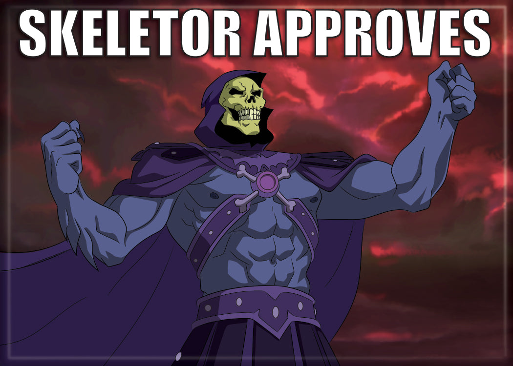 MotU He-Man - Skeletor Approves Magnet