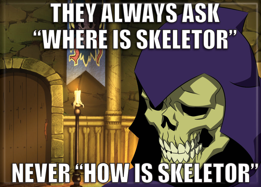MotU He-Man - How IS Skeletor Magnet